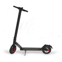 MONOPATTINO ELETTRICO 
